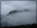 2011-11-08 10-03-32回滑雪中心登山口途中.JPG